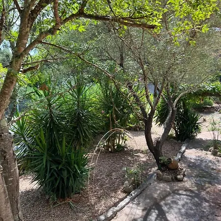 Casa Samasama *