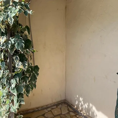 Casa Samasama Vila